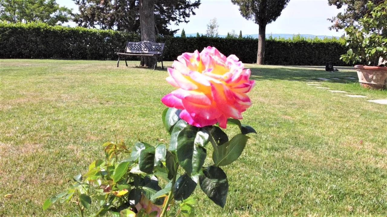 Tenuta Barbadoro Agriturismo Apartment 몬테스페르톨리 외부 사진