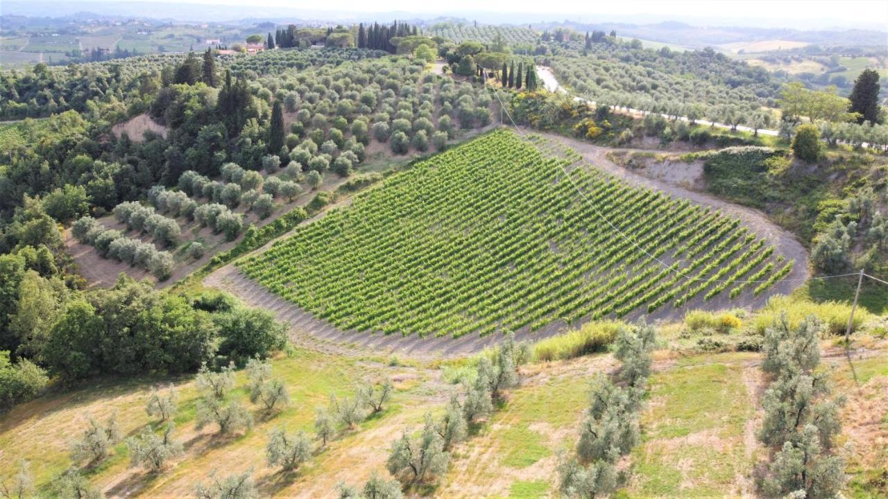 Tenuta Barbadoro Agriturismo Apartment 몬테스페르톨리 외부 사진